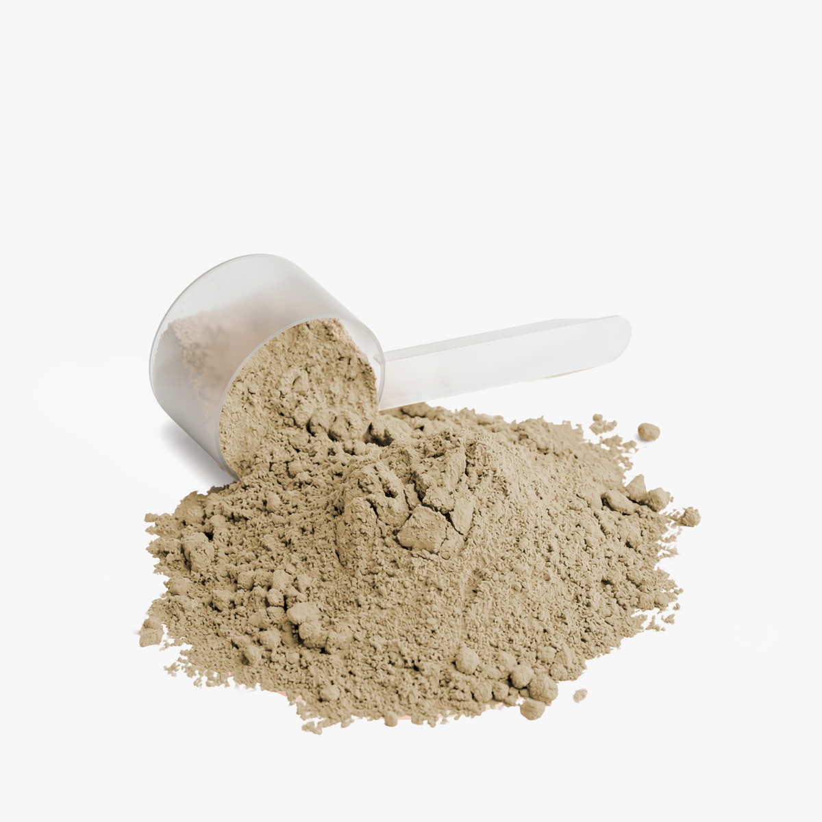 TRUSTADE ANTI-BLOAT Plant Protein (Vanilla)