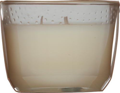 Glade Scented 3-Wick Candle Jar, Coastal Sunshine Citrus, Fragrance Infused with Essential Oils, 6.8 oz