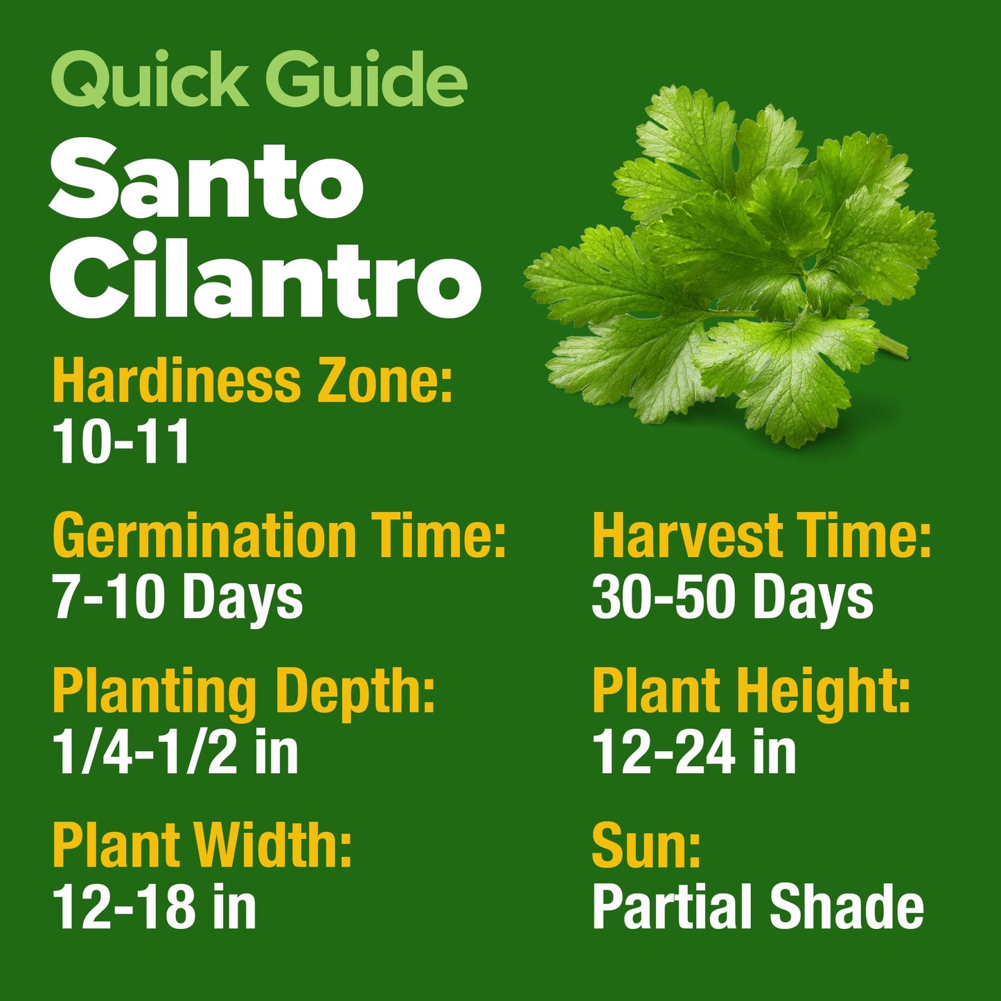 HOME GROWN 𝗨𝗦𝗔 𝗣𝗥𝗘𝗠𝗜𝗨𝗠 Peppermint Seeds Pack – 2,370 𝗡𝗢𝗡-𝗚𝗠𝗢 Heirloom Mint Seeds for Planting. Grow Peppermint Plants in Your Herb Garden Indoors or Outdoors (Mentha x piperita)