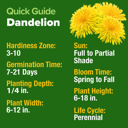 HOME GROWN 𝗨𝗦𝗔 𝗣𝗥𝗘𝗠𝗜𝗨𝗠 Zinnia Dahlia Seeds Pack for 2025 – 524 𝗡𝗢𝗡-𝗚𝗠𝗢 Flower Seeds | Vibrant Zinnia Elegans for Pollinator Gardens, Borders & Containers | Easy-to-Grow Outdoor Blooms