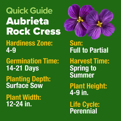 HOME GROWN 𝗨𝗦𝗔 𝗣𝗥𝗘𝗠𝗜𝗨𝗠 Zinnia Dahlia Seeds Pack for 2025 – 524 𝗡𝗢𝗡-𝗚𝗠𝗢 Flower Seeds | Vibrant Zinnia Elegans for Pollinator Gardens, Borders & Containers | Easy-to-Grow Outdoor Blooms