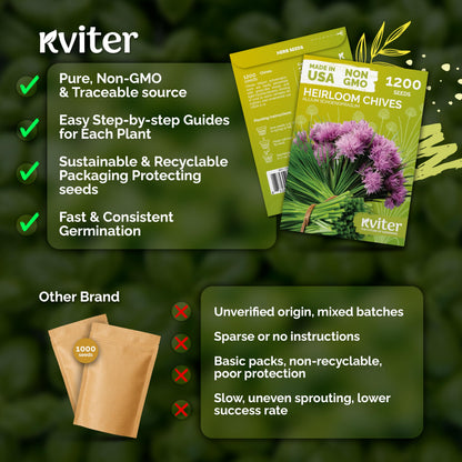 KVITER 500 Lemon Thyme Seeds for Planting (Thymus Pulegioides) – Wild Creeping Thyme Seeds Ground Cover, Aromatic & Drought-Tolerant Herbaceous Flower – Ideal for Walls, Fences & Herb Garden