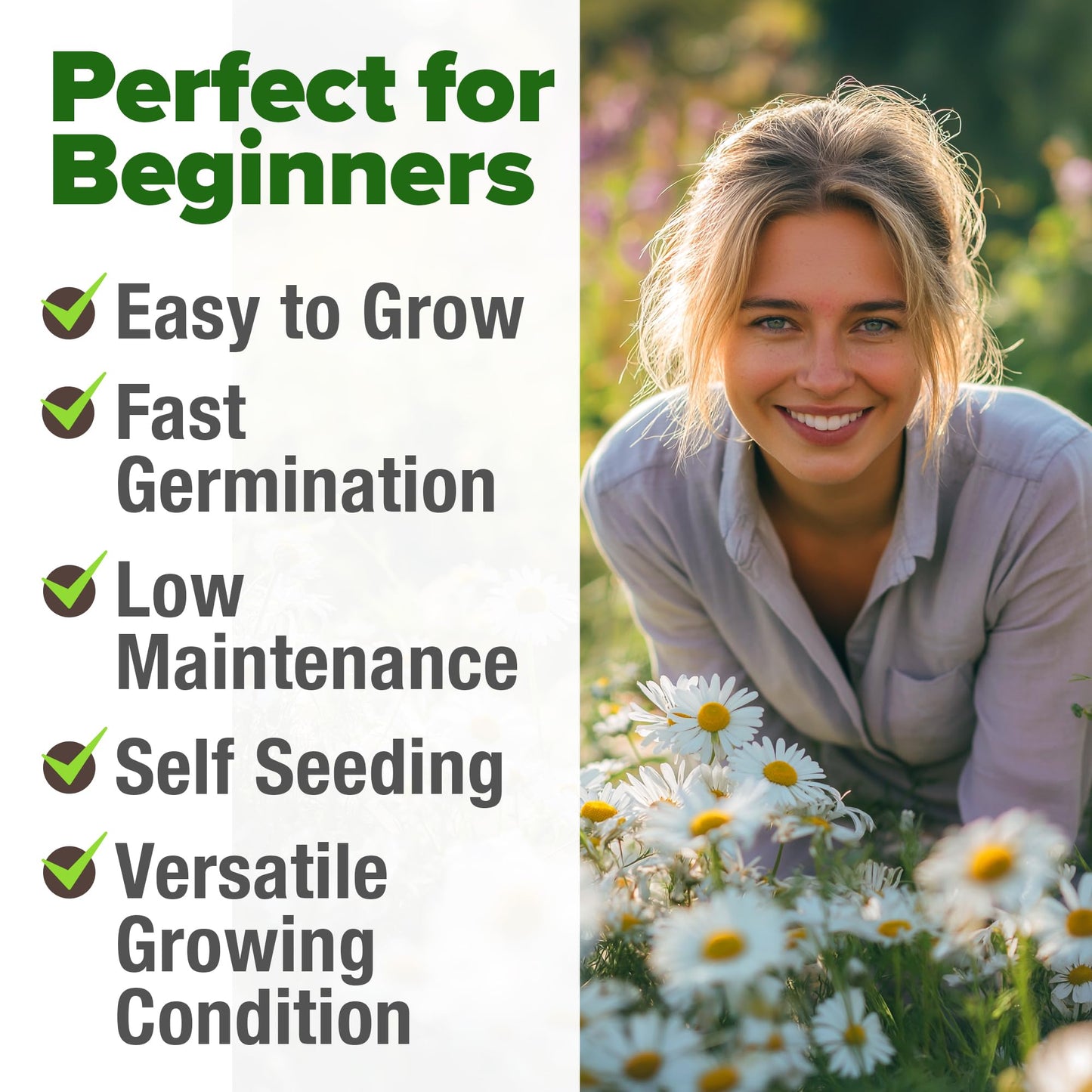 HOME GROWN 𝗨𝗦𝗔 𝗣𝗥𝗘𝗠𝗜𝗨𝗠 Zinnia Dahlia Seeds Pack for 2025 – 524 𝗡𝗢𝗡-𝗚𝗠𝗢 Flower Seeds | Vibrant Zinnia Elegans for Pollinator Gardens, Borders & Containers | Easy-to-Grow Outdoor Blooms