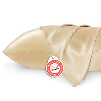 Bedsure Satin Pillowcase, Similar to Silk Pillow Cases Queen Size Set of 2, Cooling Pillow Case Covers with Envelope Closure, Room Decor Valentine Gifts for Women Men, Silver Grey, 20x30 Inches, 2pcs