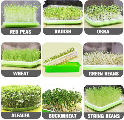 Legigo 8 Pack Seed Sprouter Trays with Lids- Soil-Free Cultivation Germination Tray, BPA Free Micro Greens Growing Trays Seed Sprouting Trays Kit with Germinating Paper for Wheatgrass, Beans and More