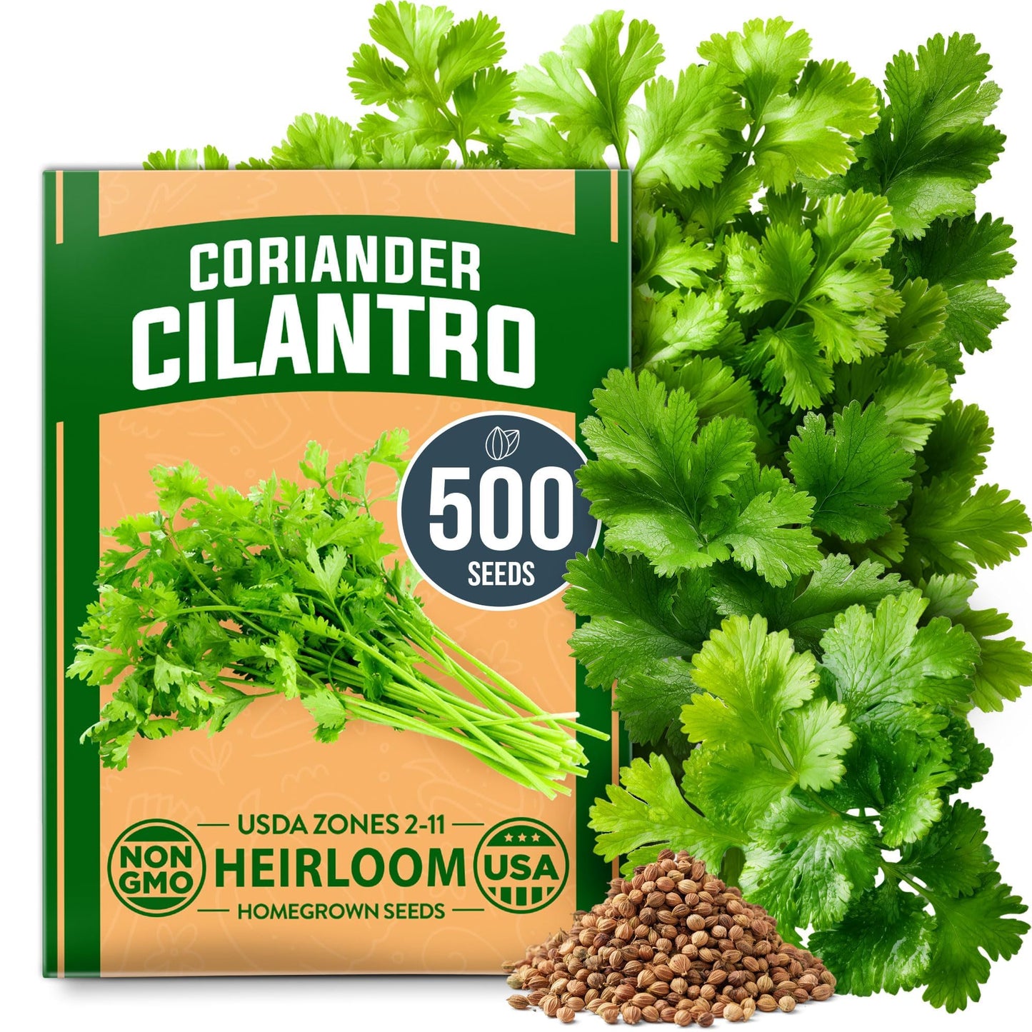 HOME GROWN 𝗨𝗦𝗔 𝗣𝗥𝗘𝗠𝗜𝗨𝗠 Peppermint Seeds Pack – 2,370 𝗡𝗢𝗡-𝗚𝗠𝗢 Heirloom Mint Seeds for Planting. Grow Peppermint Plants in Your Herb Garden Indoors or Outdoors (Mentha x piperita)