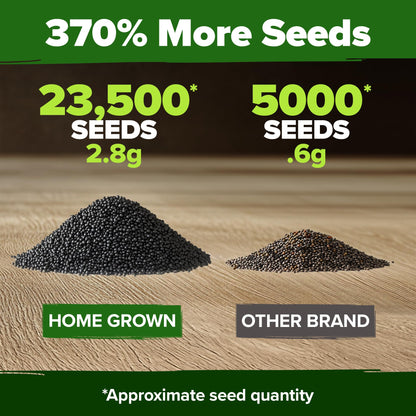 HOME GROWN 𝗨𝗦𝗔 𝗣𝗥𝗘𝗠𝗜𝗨𝗠 Zinnia Dahlia Seeds Pack for 2025 – 524 𝗡𝗢𝗡-𝗚𝗠𝗢 Flower Seeds | Vibrant Zinnia Elegans for Pollinator Gardens, Borders & Containers | Easy-to-Grow Outdoor Blooms