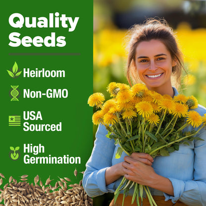 HOME GROWN 𝗨𝗦𝗔 𝗣𝗥𝗘𝗠𝗜𝗨𝗠 Zinnia Dahlia Seeds Pack for 2025 – 524 𝗡𝗢𝗡-𝗚𝗠𝗢 Flower Seeds | Vibrant Zinnia Elegans for Pollinator Gardens, Borders & Containers | Easy-to-Grow Outdoor Blooms