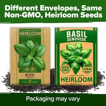 HOME GROWN 𝗨𝗦𝗔 𝗣𝗥𝗘𝗠𝗜𝗨𝗠 Peppermint Seeds Pack – 2,370 𝗡𝗢𝗡-𝗚𝗠𝗢 Heirloom Mint Seeds for Planting. Grow Peppermint Plants in Your Herb Garden Indoors or Outdoors (Mentha x piperita)