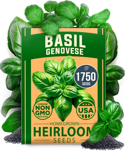 HOME GROWN 𝗨𝗦𝗔 𝗣𝗥𝗘𝗠𝗜𝗨𝗠 Peppermint Seeds Pack – 2,370 𝗡𝗢𝗡-𝗚𝗠𝗢 Heirloom Mint Seeds for Planting. Grow Peppermint Plants in Your Herb Garden Indoors or Outdoors (Mentha x piperita)
