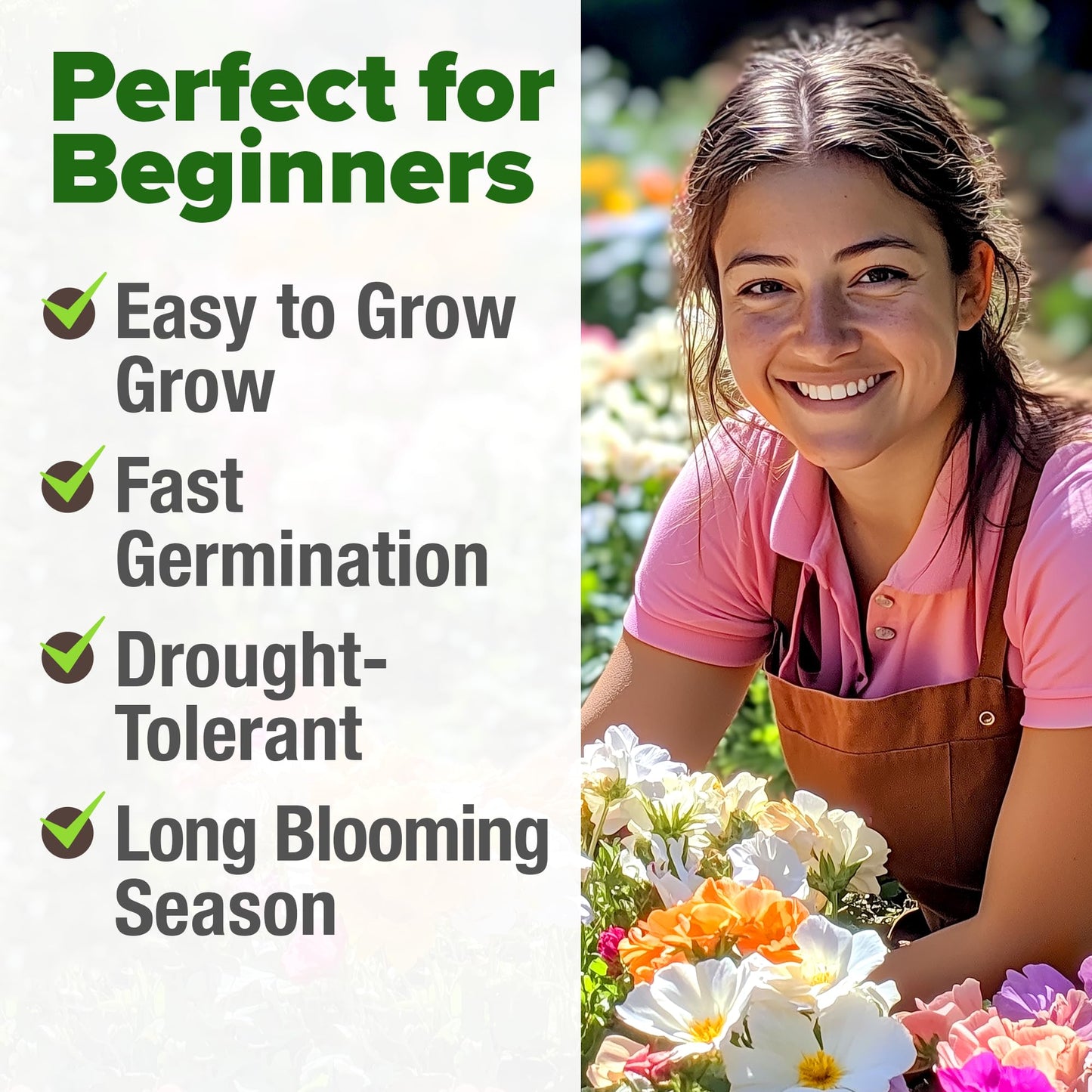 HOME GROWN 𝗨𝗦𝗔 𝗣𝗥𝗘𝗠𝗜𝗨𝗠 Zinnia Dahlia Seeds Pack for 2025 – 524 𝗡𝗢𝗡-𝗚𝗠𝗢 Flower Seeds | Vibrant Zinnia Elegans for Pollinator Gardens, Borders & Containers | Easy-to-Grow Outdoor Blooms