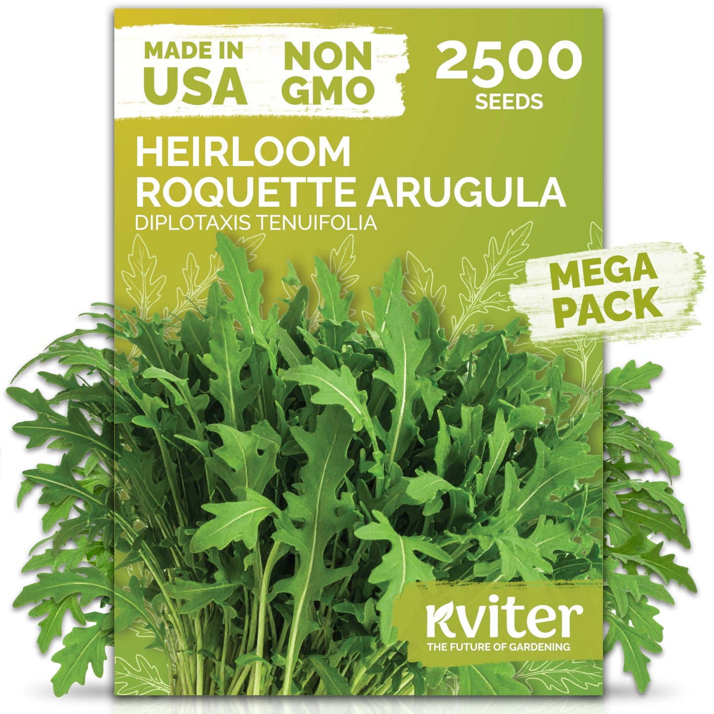 KVITER 500 Lemon Thyme Seeds for Planting (Thymus Pulegioides) – Wild Creeping Thyme Seeds Ground Cover, Aromatic & Drought-Tolerant Herbaceous Flower – Ideal for Walls, Fences & Herb Garden