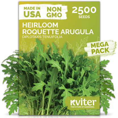KVITER 500 Lemon Thyme Seeds for Planting (Thymus Pulegioides) – Wild Creeping Thyme Seeds Ground Cover, Aromatic & Drought-Tolerant Herbaceous Flower – Ideal for Walls, Fences & Herb Garden