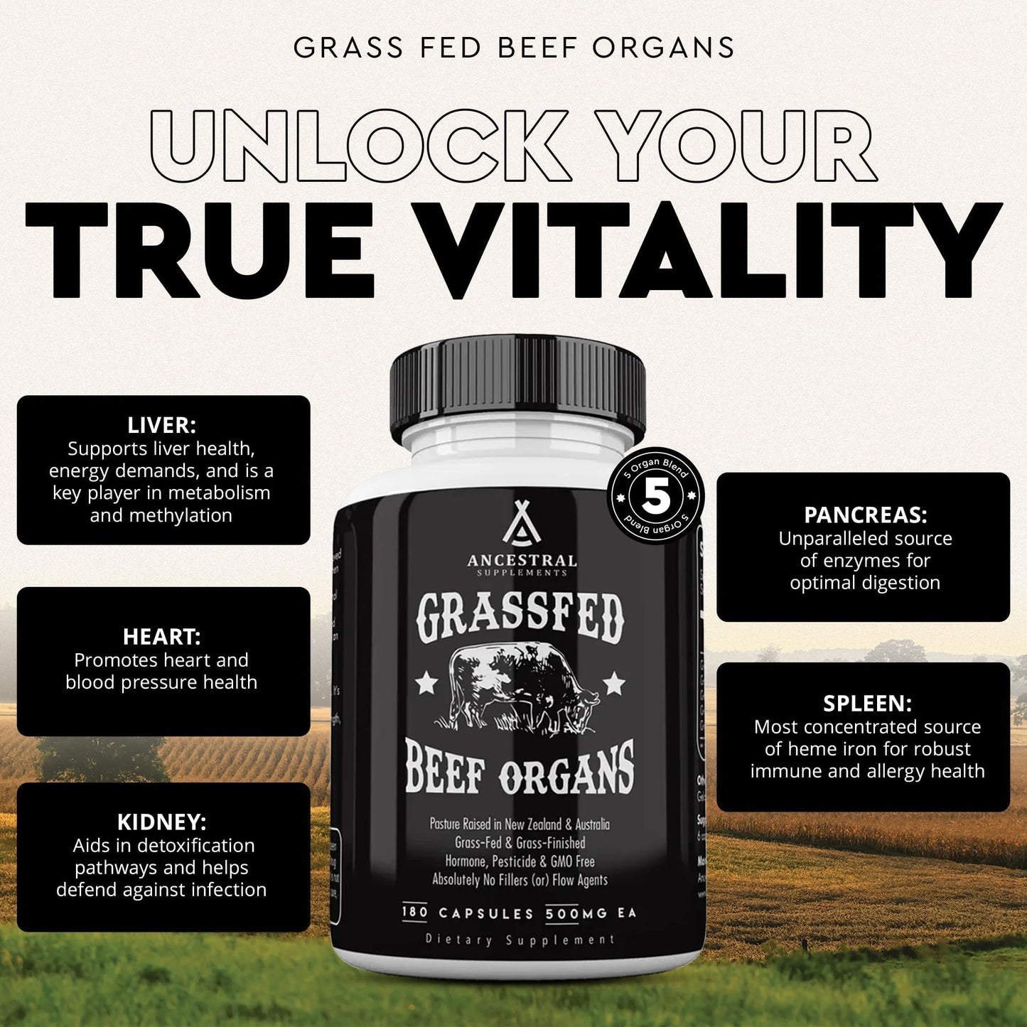 Ancestral Supplements Grass Fed Beef Liver 180 Capsules, Supports Energy Production, Detoxification, Digestion, Immunity and Full Body Wellness, Non-GMO, Freeze Dried Liver Health Supplement