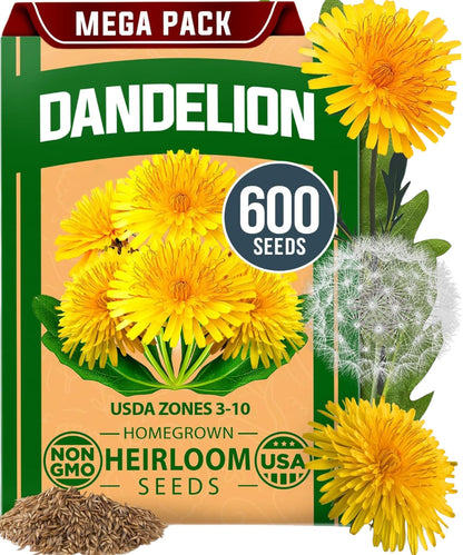 HOME GROWN 𝗨𝗦𝗔 𝗣𝗥𝗘𝗠𝗜𝗨𝗠 Zinnia Dahlia Seeds Pack for 2025 – 524 𝗡𝗢𝗡-𝗚𝗠𝗢 Flower Seeds | Vibrant Zinnia Elegans for Pollinator Gardens, Borders & Containers | Easy-to-Grow Outdoor Blooms