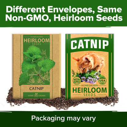 HOME GROWN 𝗨𝗦𝗔 𝗣𝗥𝗘𝗠𝗜𝗨𝗠 Peppermint Seeds Pack – 2,370 𝗡𝗢𝗡-𝗚𝗠𝗢 Heirloom Mint Seeds for Planting. Grow Peppermint Plants in Your Herb Garden Indoors or Outdoors (Mentha x piperita)