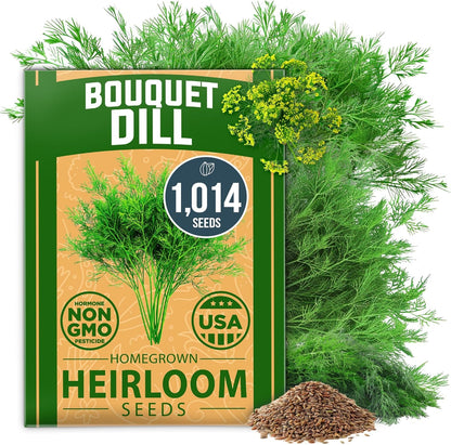 HOME GROWN 𝗨𝗦𝗔 𝗣𝗥𝗘𝗠𝗜𝗨𝗠 Peppermint Seeds Pack – 2,370 𝗡𝗢𝗡-𝗚𝗠𝗢 Heirloom Mint Seeds for Planting. Grow Peppermint Plants in Your Herb Garden Indoors or Outdoors (Mentha x piperita)