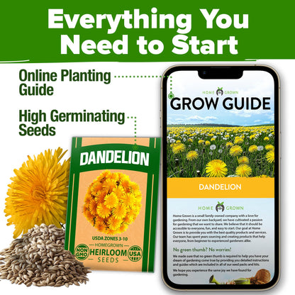 HOME GROWN 𝗨𝗦𝗔 𝗣𝗥𝗘𝗠𝗜𝗨𝗠 Zinnia Dahlia Seeds Pack for 2025 – 524 𝗡𝗢𝗡-𝗚𝗠𝗢 Flower Seeds | Vibrant Zinnia Elegans for Pollinator Gardens, Borders & Containers | Easy-to-Grow Outdoor Blooms