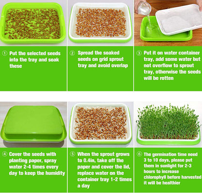 Legigo 8 Pack Seed Sprouter Trays with Lids- Soil-Free Cultivation Germination Tray, BPA Free Micro Greens Growing Trays Seed Sprouting Trays Kit with Germinating Paper for Wheatgrass, Beans and More