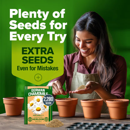 HOME GROWN 𝗨𝗦𝗔 𝗣𝗥𝗘𝗠𝗜𝗨𝗠 Zinnia Dahlia Seeds Pack for 2025 – 524 𝗡𝗢𝗡-𝗚𝗠𝗢 Flower Seeds | Vibrant Zinnia Elegans for Pollinator Gardens, Borders & Containers | Easy-to-Grow Outdoor Blooms