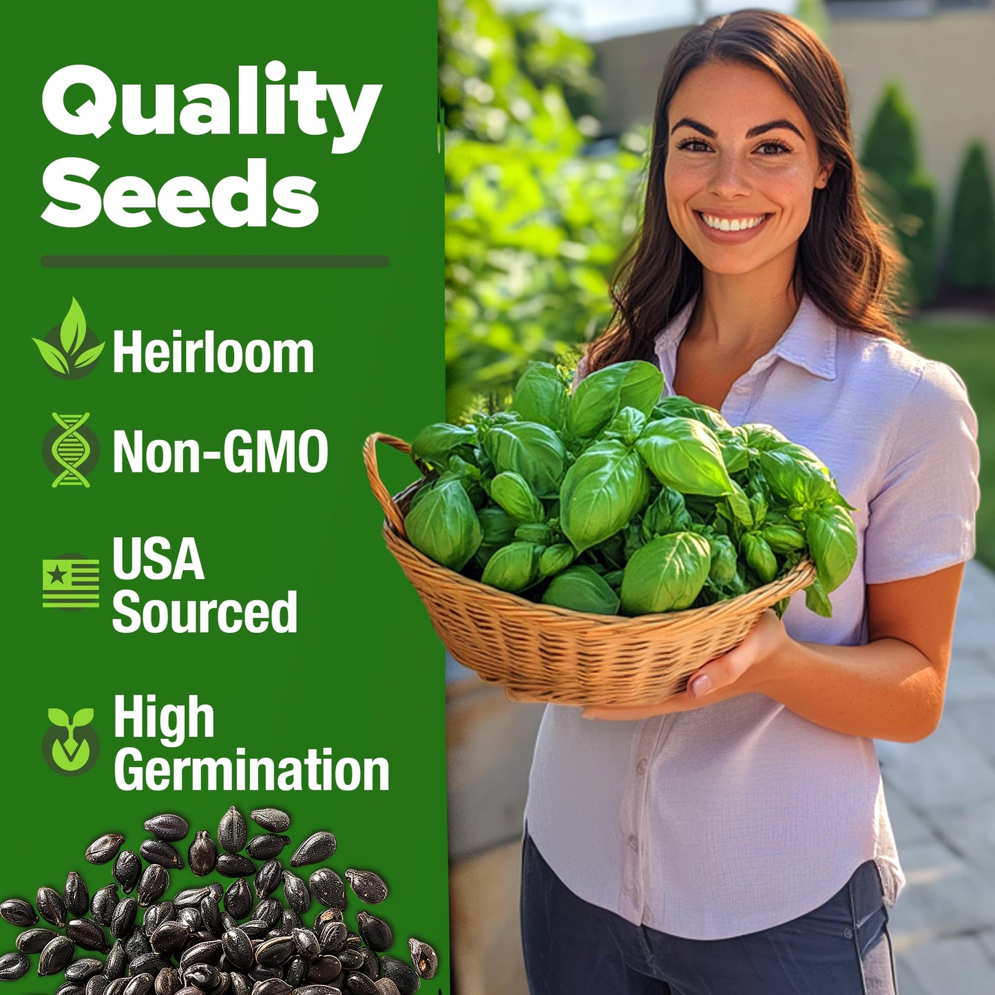 HOME GROWN 𝗨𝗦𝗔 𝗣𝗥𝗘𝗠𝗜𝗨𝗠 Peppermint Seeds Pack – 2,370 𝗡𝗢𝗡-𝗚𝗠𝗢 Heirloom Mint Seeds for Planting. Grow Peppermint Plants in Your Herb Garden Indoors or Outdoors (Mentha x piperita)
