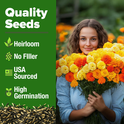 HOME GROWN 𝗨𝗦𝗔 𝗣𝗥𝗘𝗠𝗜𝗨𝗠 Zinnia Dahlia Seeds Pack for 2025 – 524 𝗡𝗢𝗡-𝗚𝗠𝗢 Flower Seeds | Vibrant Zinnia Elegans for Pollinator Gardens, Borders & Containers | Easy-to-Grow Outdoor Blooms