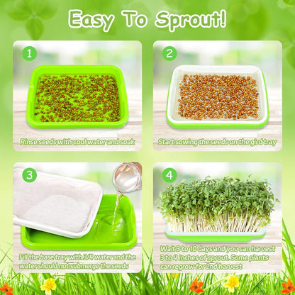 Legigo 8 Pack Seed Sprouter Trays with Lids- Soil-Free Cultivation Germination Tray, BPA Free Micro Greens Growing Trays Seed Sprouting Trays Kit with Germinating Paper for Wheatgrass, Beans and More