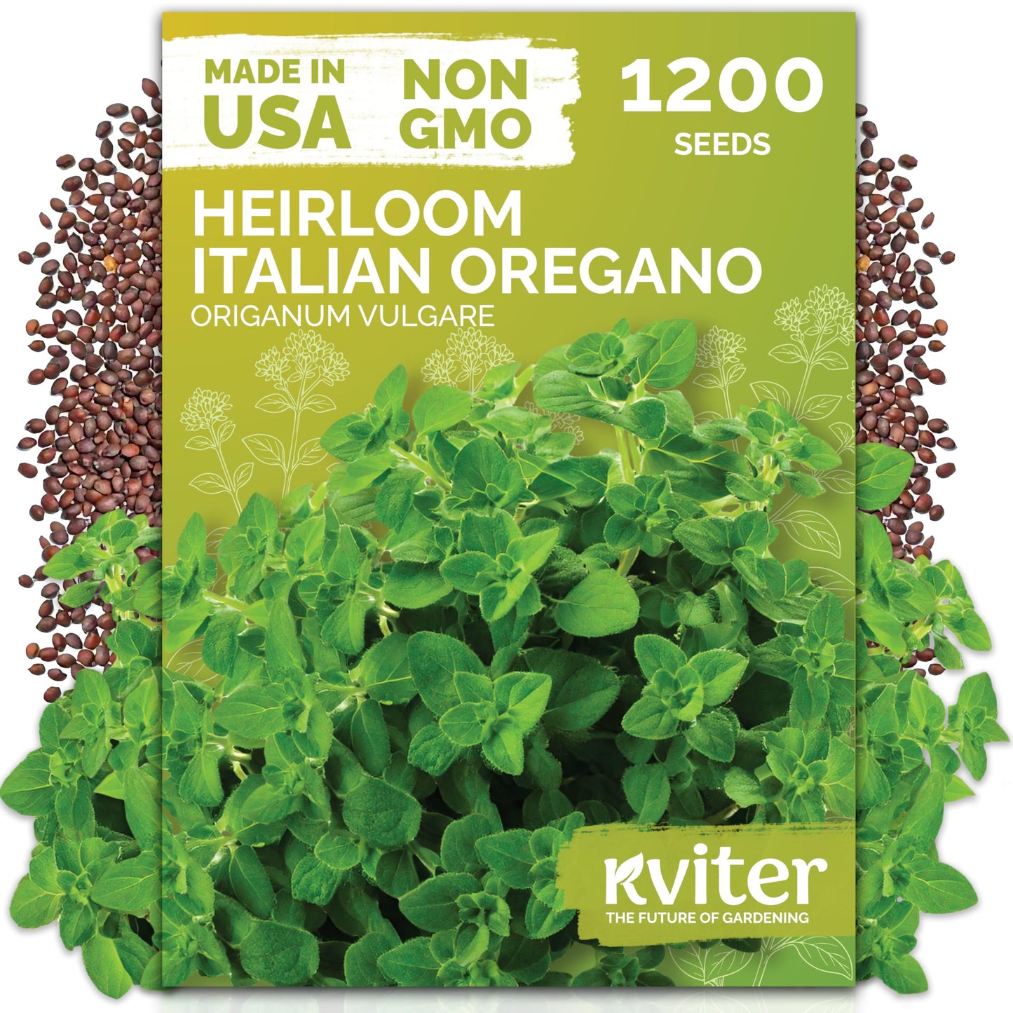 KVITER 500 Lemon Thyme Seeds for Planting (Thymus Pulegioides) – Wild Creeping Thyme Seeds Ground Cover, Aromatic & Drought-Tolerant Herbaceous Flower – Ideal for Walls, Fences & Herb Garden