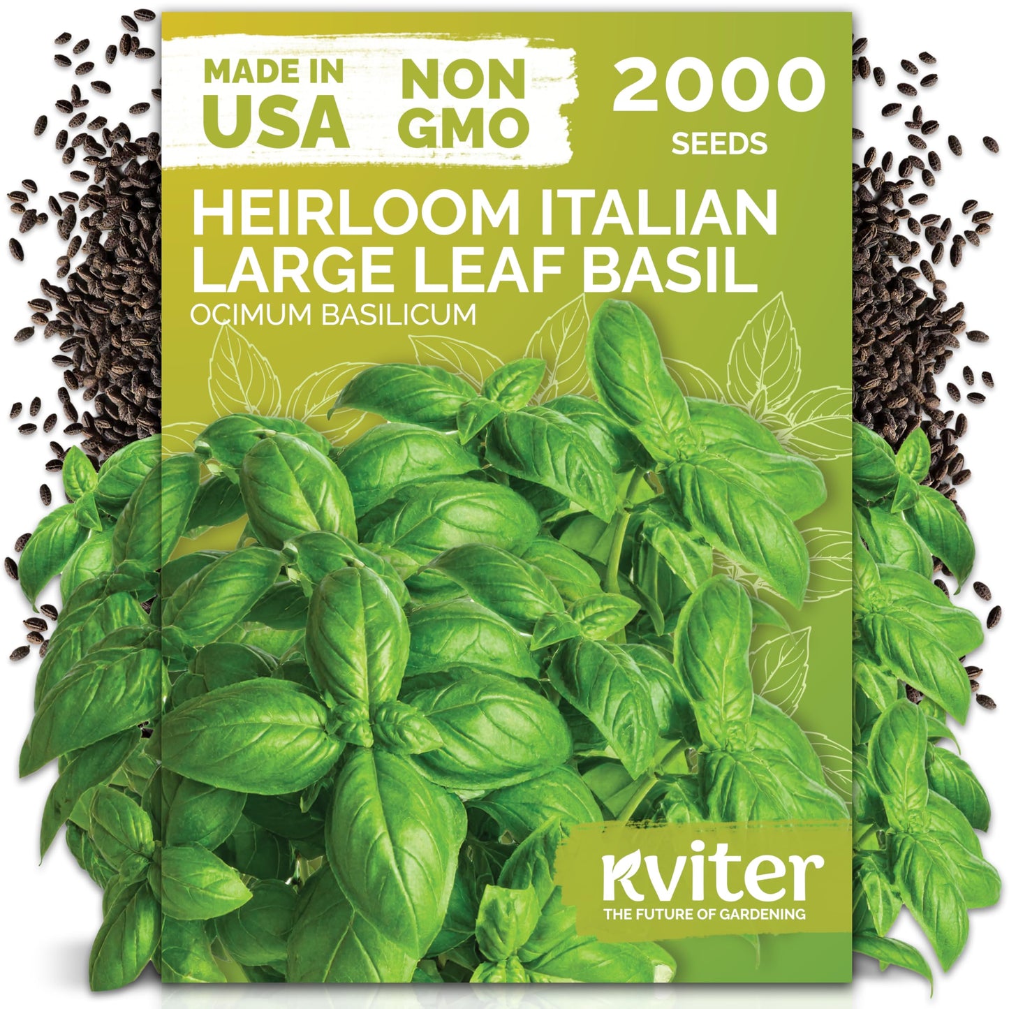KVITER 500 Lemon Thyme Seeds for Planting (Thymus Pulegioides) – Wild Creeping Thyme Seeds Ground Cover, Aromatic & Drought-Tolerant Herbaceous Flower – Ideal for Walls, Fences & Herb Garden