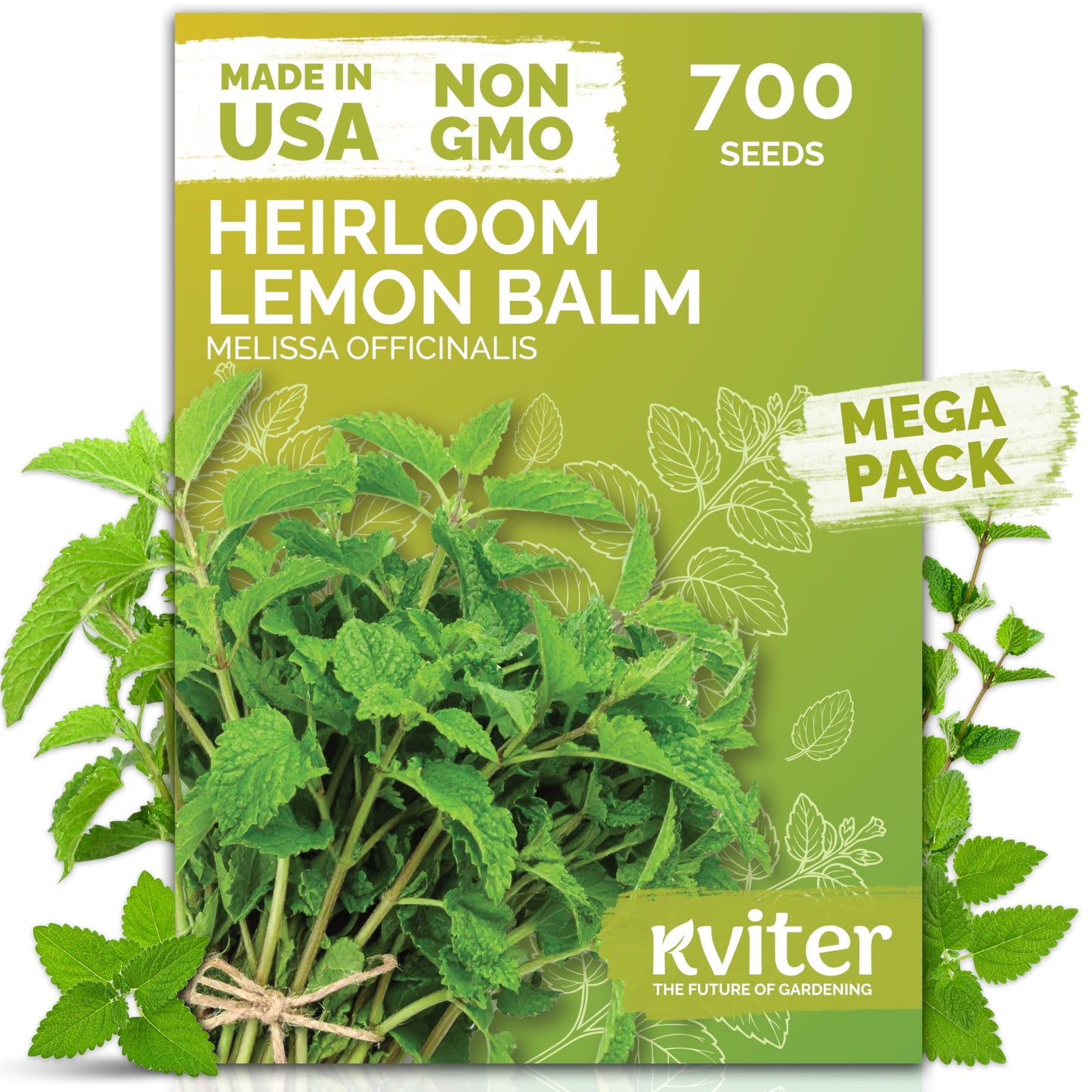 KVITER 500 Lemon Thyme Seeds for Planting (Thymus Pulegioides) – Wild Creeping Thyme Seeds Ground Cover, Aromatic & Drought-Tolerant Herbaceous Flower – Ideal for Walls, Fences & Herb Garden
