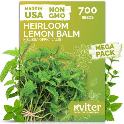 KVITER 500 Lemon Thyme Seeds for Planting (Thymus Pulegioides) – Wild Creeping Thyme Seeds Ground Cover, Aromatic & Drought-Tolerant Herbaceous Flower – Ideal for Walls, Fences & Herb Garden