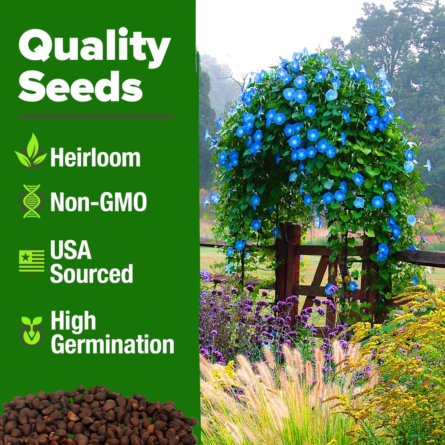 HOME GROWN 𝗨𝗦𝗔 𝗣𝗥𝗘𝗠𝗜𝗨𝗠 Zinnia Dahlia Seeds Pack for 2025 – 524 𝗡𝗢𝗡-𝗚𝗠𝗢 Flower Seeds | Vibrant Zinnia Elegans for Pollinator Gardens, Borders & Containers | Easy-to-Grow Outdoor Blooms
