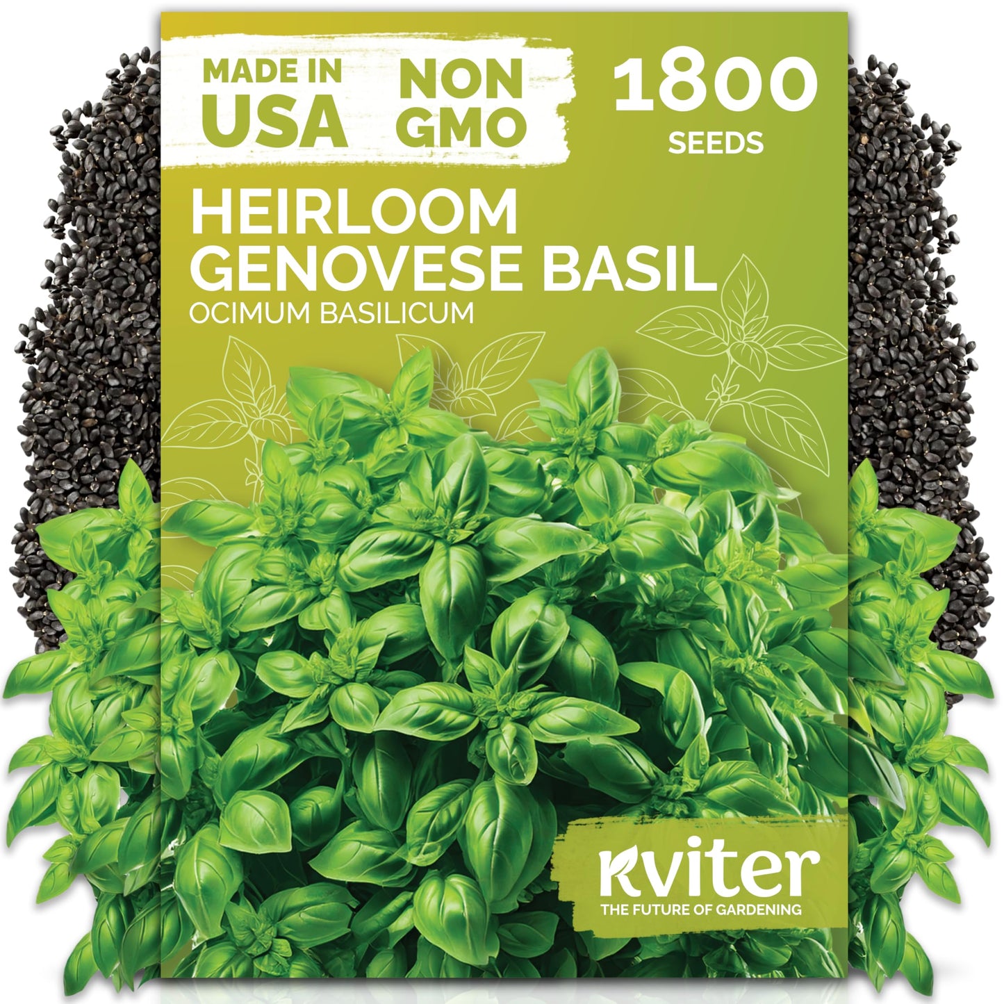 KVITER 500 Lemon Thyme Seeds for Planting (Thymus Pulegioides) – Wild Creeping Thyme Seeds Ground Cover, Aromatic & Drought-Tolerant Herbaceous Flower – Ideal for Walls, Fences & Herb Garden