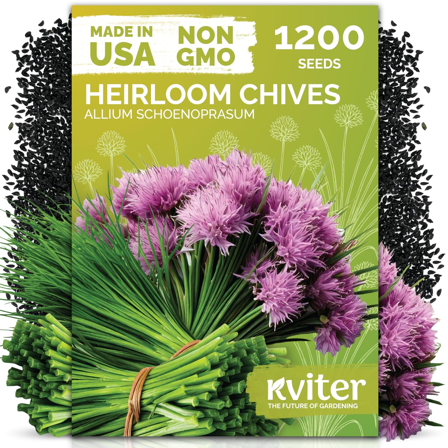 KVITER 500 Lemon Thyme Seeds for Planting (Thymus Pulegioides) – Wild Creeping Thyme Seeds Ground Cover, Aromatic & Drought-Tolerant Herbaceous Flower – Ideal for Walls, Fences & Herb Garden