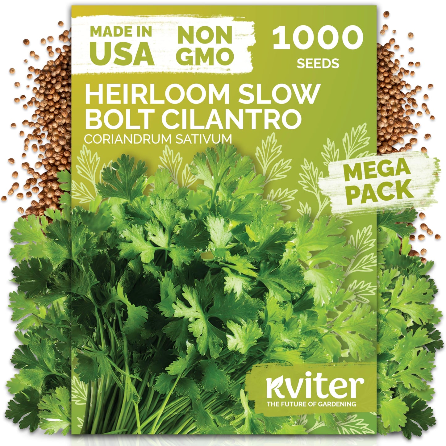 KVITER 500 Lemon Thyme Seeds for Planting (Thymus Pulegioides) – Wild Creeping Thyme Seeds Ground Cover, Aromatic & Drought-Tolerant Herbaceous Flower – Ideal for Walls, Fences & Herb Garden