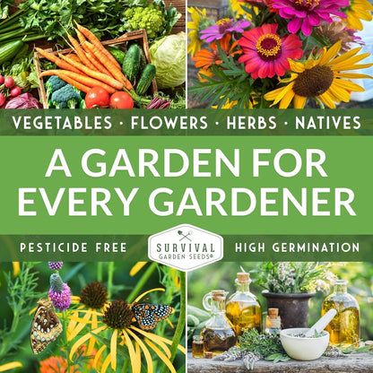 Fruit Seeds for Planting - 8 Variety Pack | Watermelon, Cantaloupe, Melon, Strawberry, Ground Cherry for Home Vegetable Gardens - Non-GMO Heirloom Fruits - Survival Garden Seeds