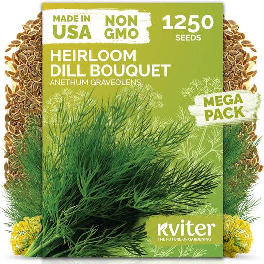 KVITER 500 Lemon Thyme Seeds for Planting (Thymus Pulegioides) – Wild Creeping Thyme Seeds Ground Cover, Aromatic & Drought-Tolerant Herbaceous Flower – Ideal for Walls, Fences & Herb Garden